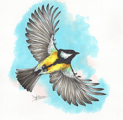 A bird illustration