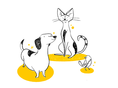 Pet Illustration for a Vet App @Chicago app bird branding cat cute dog icon illustration illustrator iu logo pet pets puppy unkaleidoscope ux
