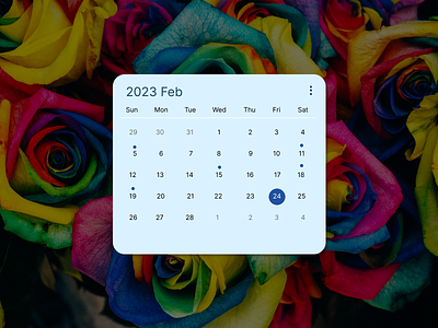 Date Picker 080 app dailyui date picker design ui ux