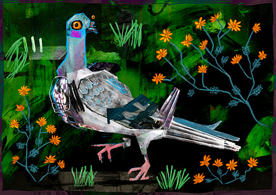 Bird Hero digitalart drawing editorial illustration illustrator