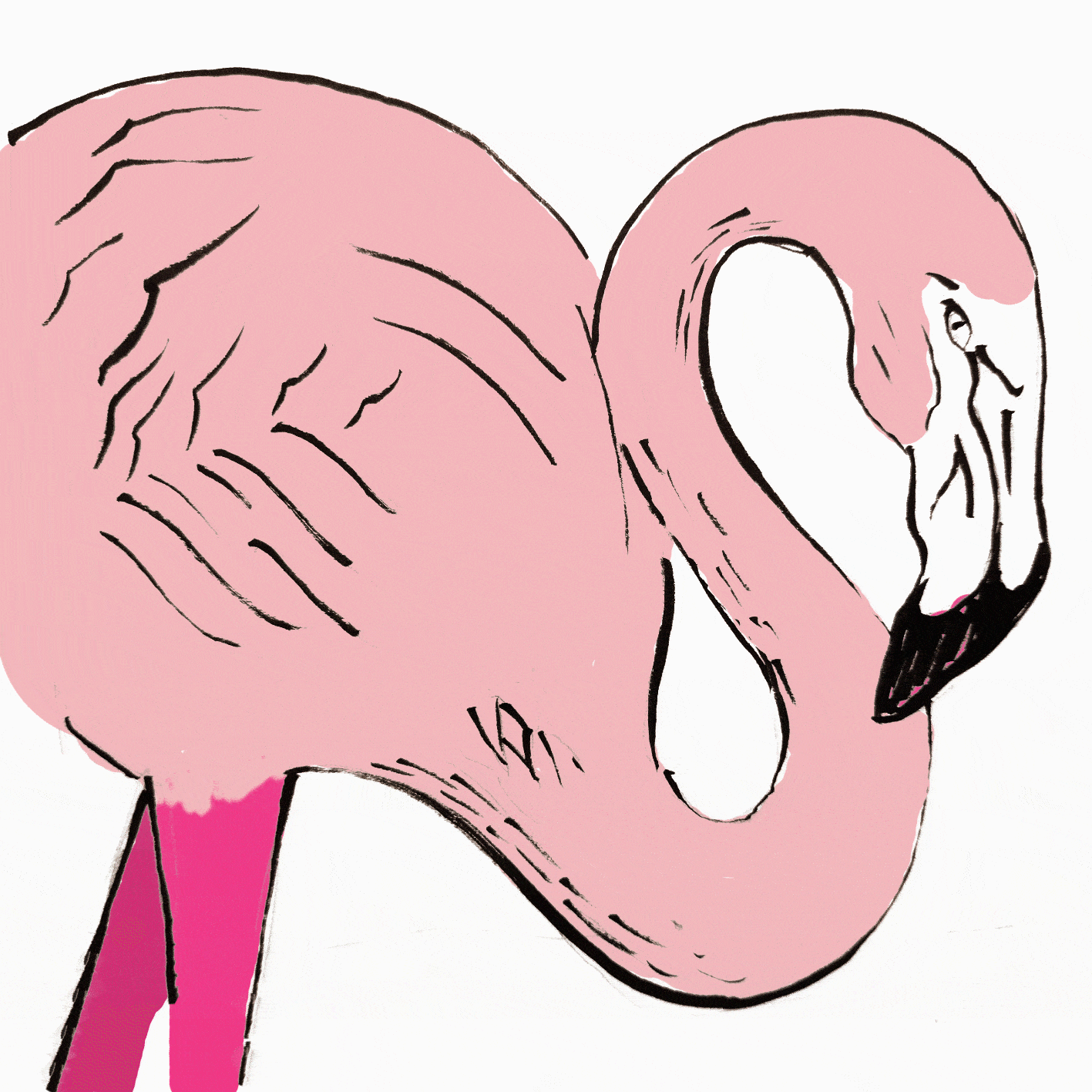 Flamingus animation flamingo gif graphic design selfie