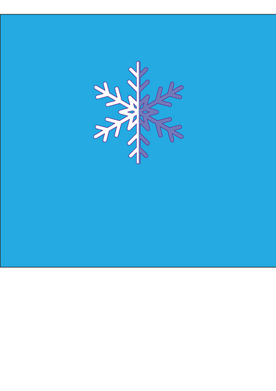 Winter Snowflakes branding design graphic design illustration logo snowflakes ui vector