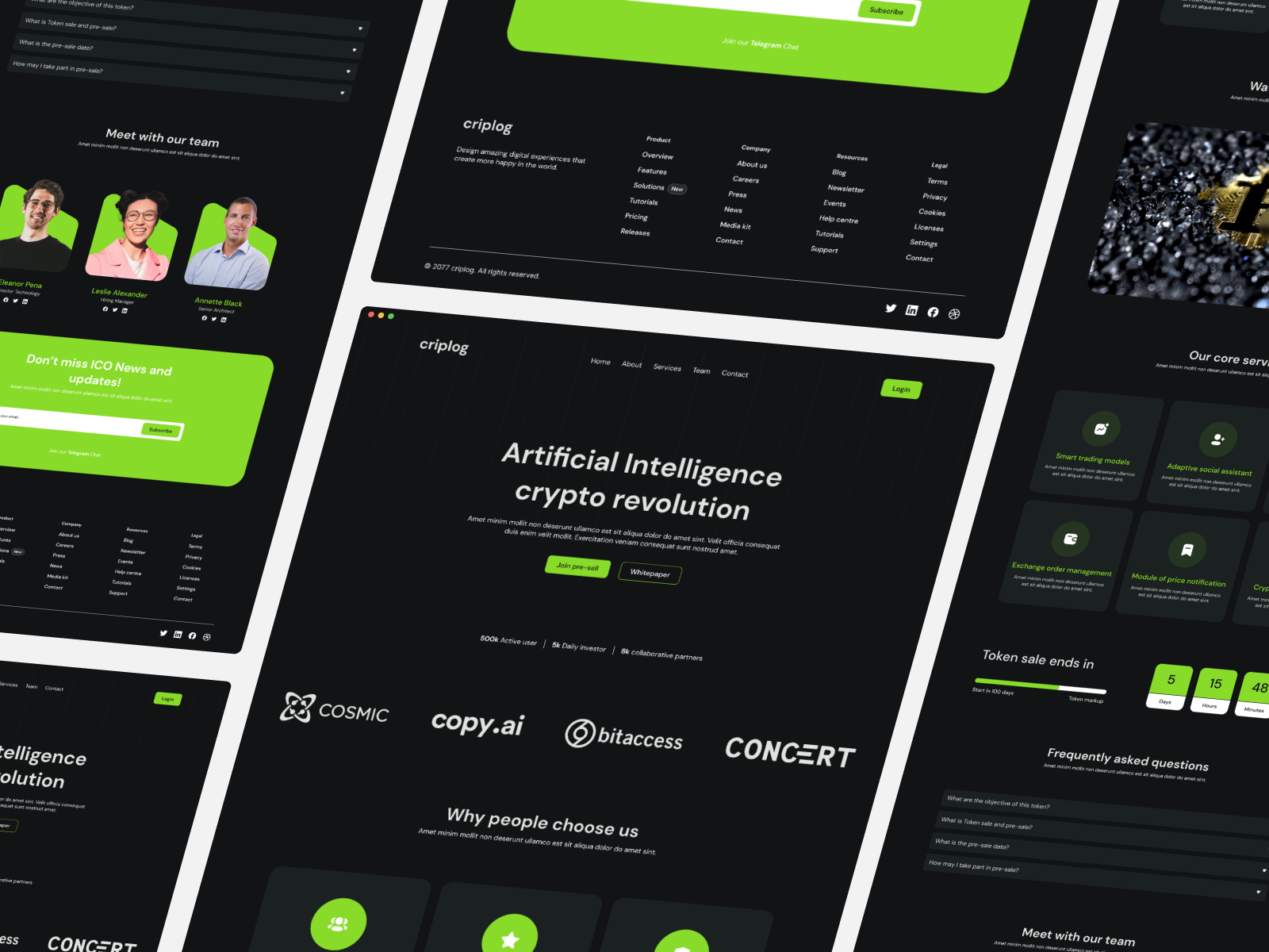 Example of Landing Page Design