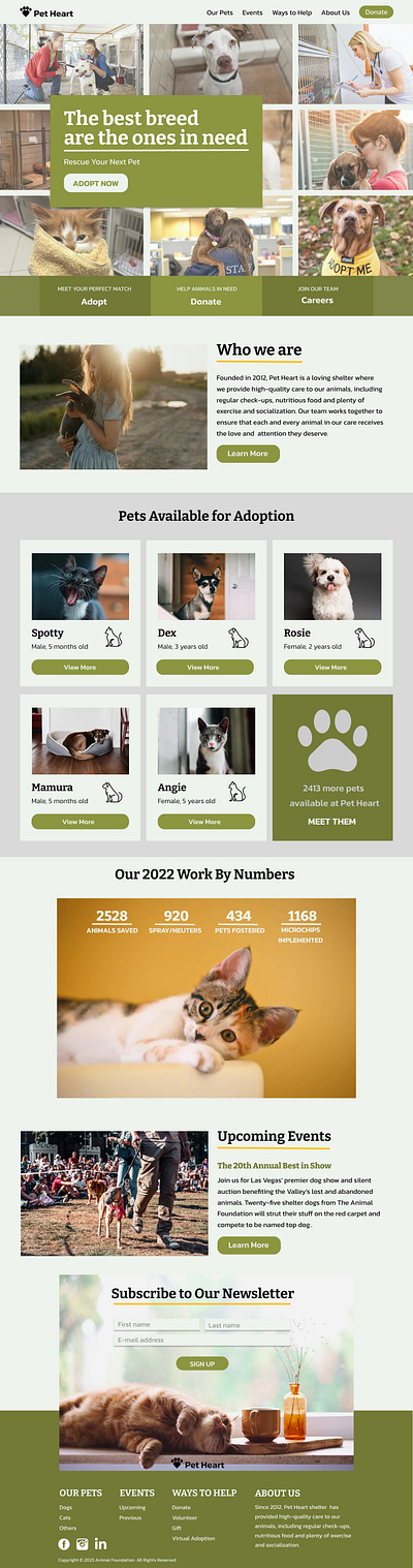 Pet Heart Website Design graphic design ui