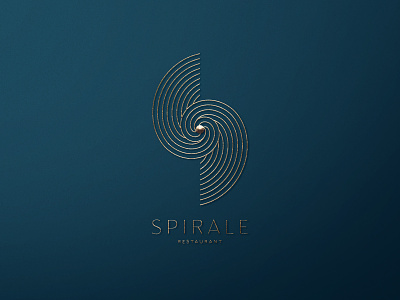 Spiral Logo Design beauty branding clipart concept cosmic custom logo feminine galaxy logo golden graphic design high end identity logo logo design luxury metal minimalistic prestige space spiral