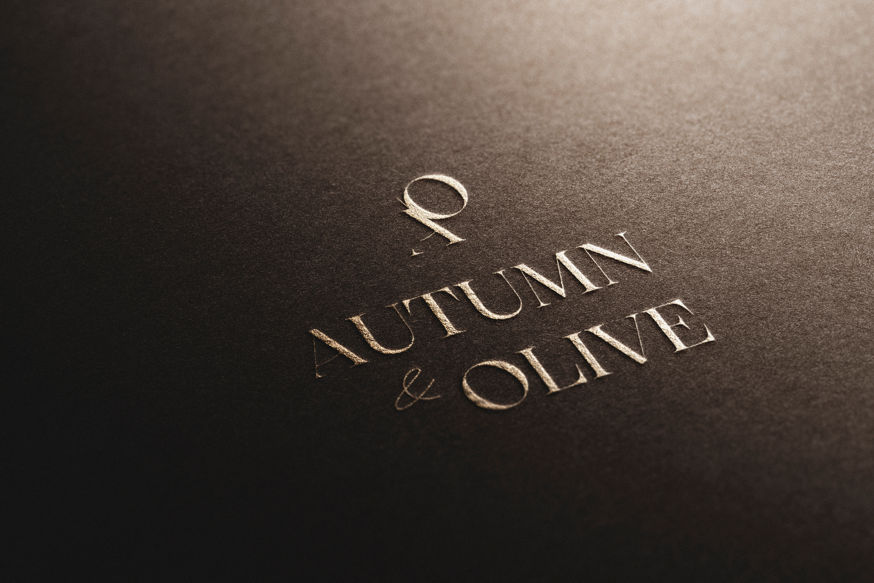 Fashion Minimal Logo Design & Brand Identity, Logo, Branding billboard brand guideline brand identity branding business design fashion fashion magazine graphic design illustration logo magazine minimal mockup post poster social media typography vector visual identity