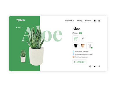 Website design for searching and buying houseplants 🌱 adobe xd design e commerce figma plants product cart store suculent ui uiux design ux web web design