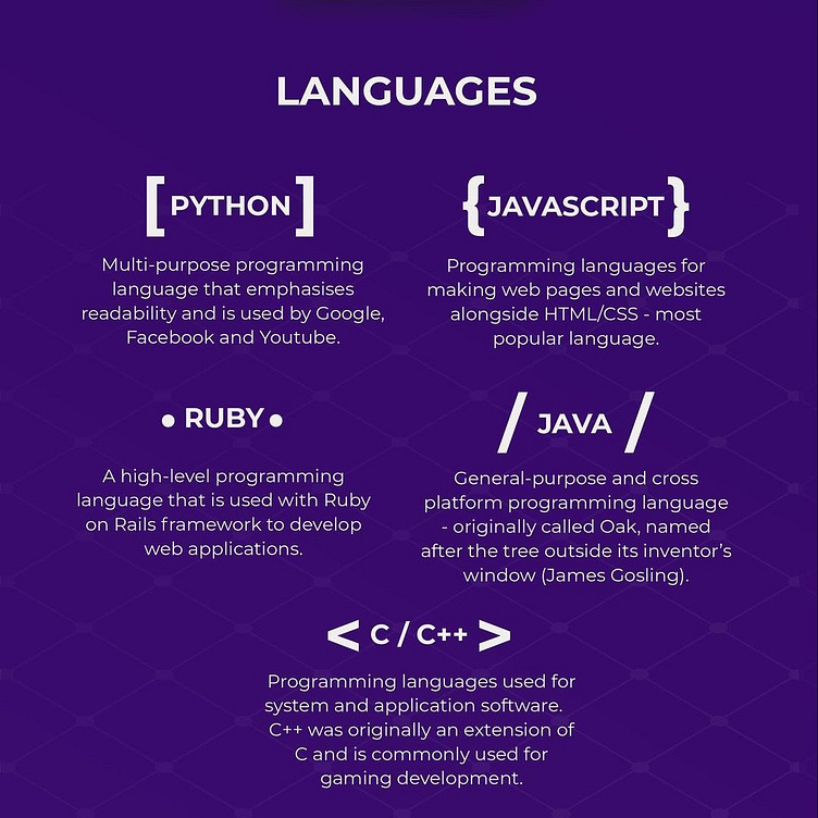 Learn programming languages by cakpri teknologi on Dribbble