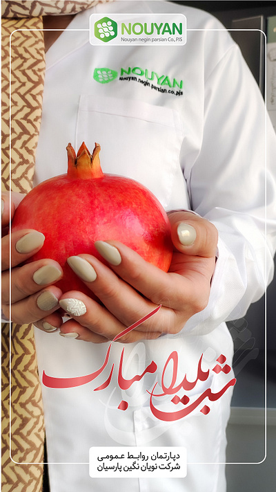 Yalda graphic design ill illustrator photography