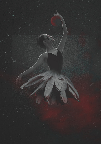 Space Ballet ballet collage design digital art digital artist illustration space