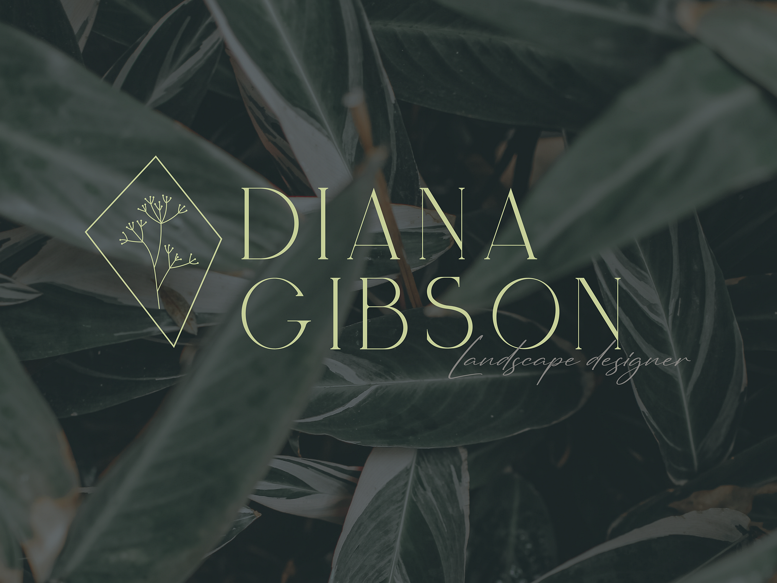 DG logo by Neringa Dilertė on Dribbble