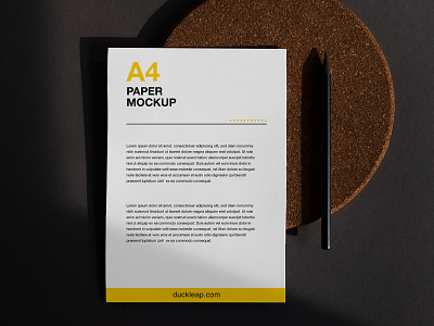 Free Envelope with A4 Letterhead Mockup (PSD)
