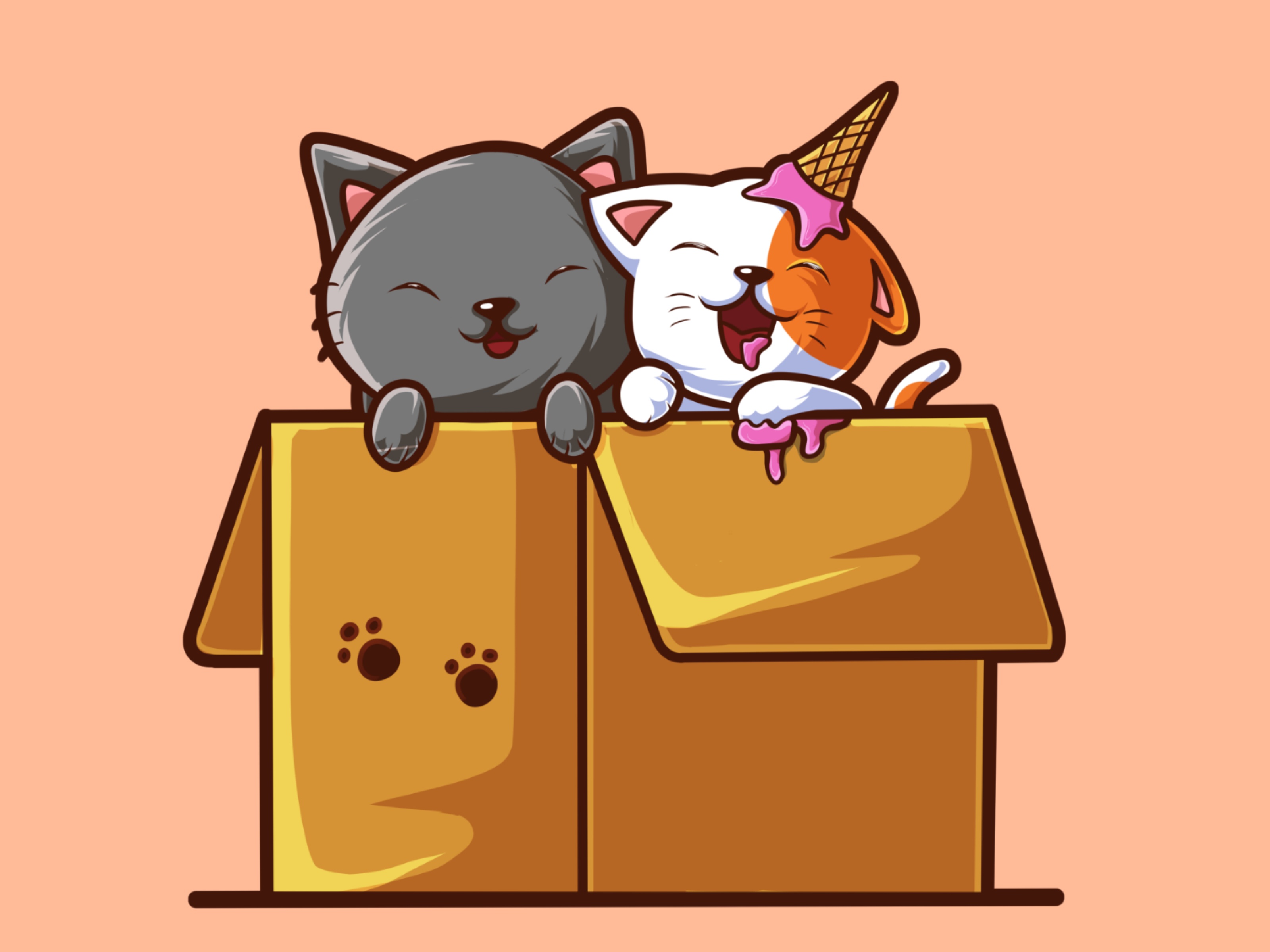 cute kittens in boxes