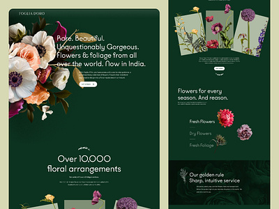 Foglia D’Oro Website - Awwwards Nominee animation awwwards clean contentful flowers honorable mention illustrations transitions typography ui ux webflow webflowdevelopment websitedesign