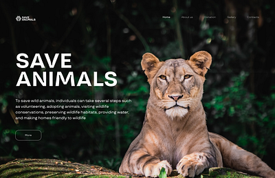 Save Animals branding graphic design ui