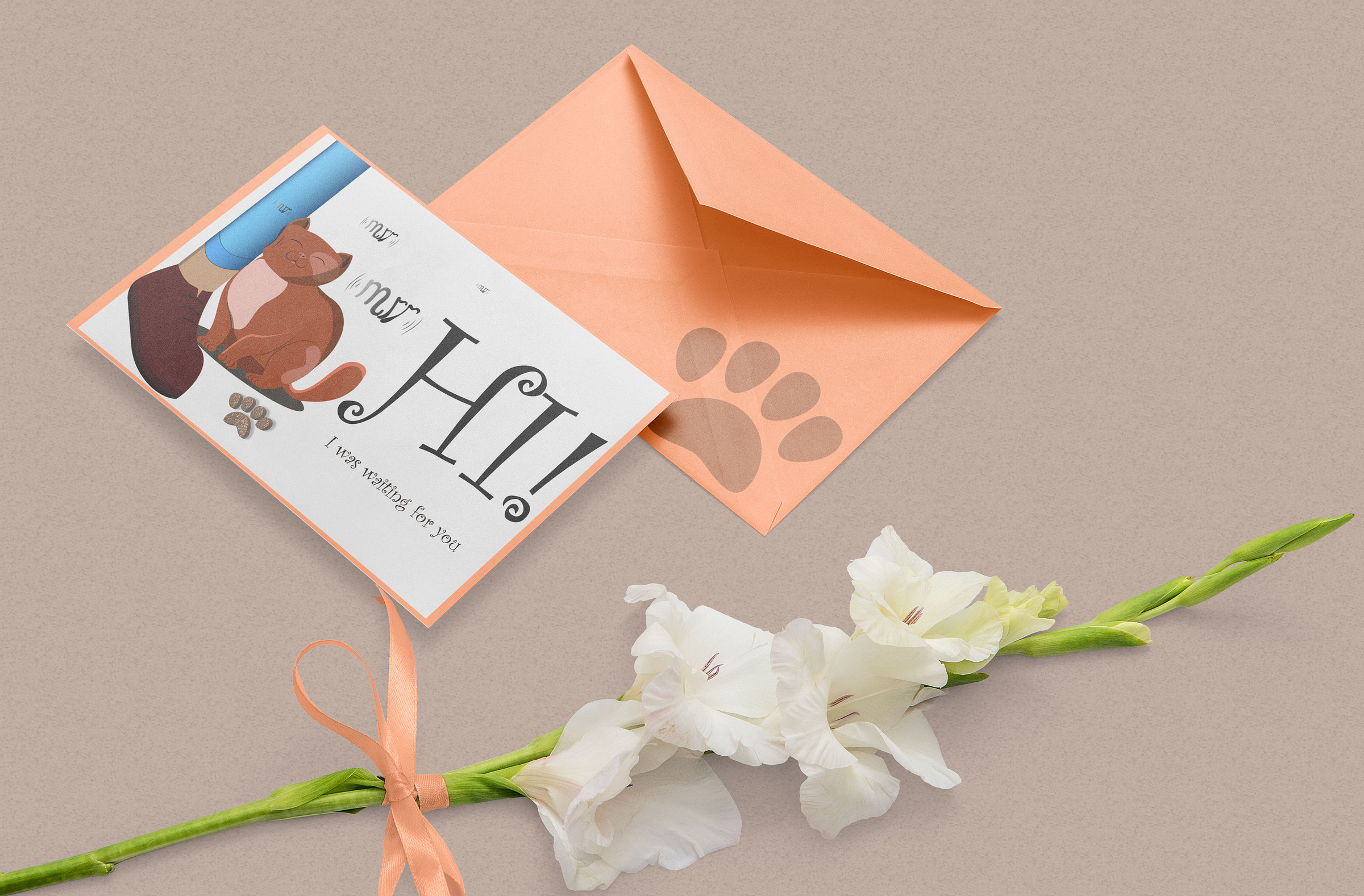 design envelope cat by Михаил Макаров on Dribbble