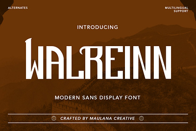 Walreinn Modern Sans Display Font animation branding design font fonts graphic design logo nostalgic