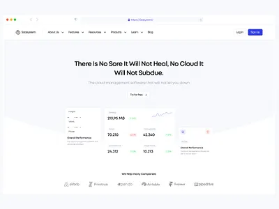 Saasystem - Landing Page analytics b2b clean crm design enterpise graph hero heroes herosection home page landing page design landingpage saas software ui web web design website website design