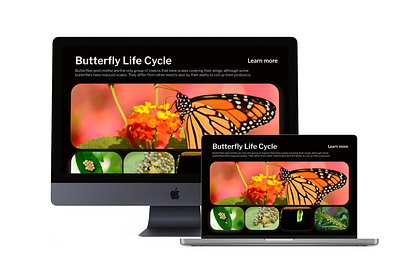 #DailyUI. Day-072:- Image Slider branding butterfly concept cycle dailyui dailyuichallenge design graphic design illustration image slider life ui