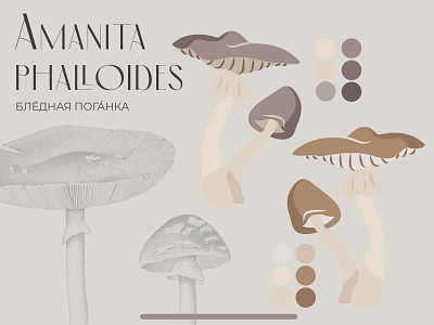 Mushroom vector illustration [vol. 2] art illustration mushroom vector vector illustration