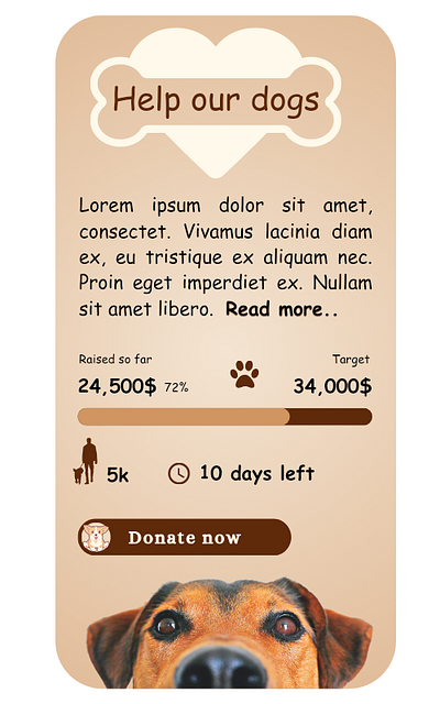 Crowdfunding campaign design #DailyUi Challenge #032 app dailyui design