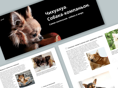 Longread / Cute dogs design longread ui