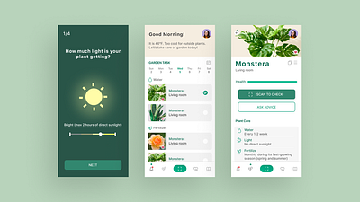 Plant Care App Concept app concept graphic design plantapp ui uidesign ux uxdesign wireframe