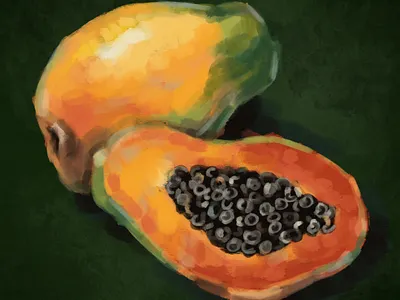 Food illustration adobe photoshop food illustration illustration photoshop procreate