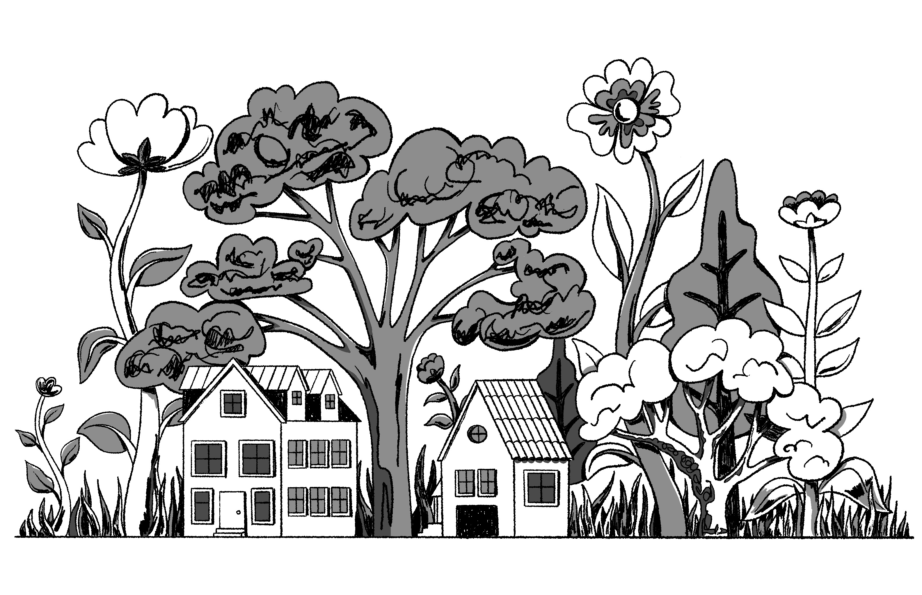 North California still life. Digital illustration. blackwhite california digital drawing digital illustration flowers home house north california pacific coast rural place trees