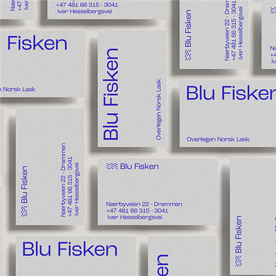 Blu Fisken Grotesk. branding graphic design logo