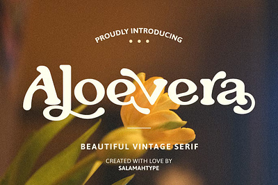 Aloevera - Vintage Font calligraphy display display font font font family fonts hand lettering handlettering lettering logo sans serif sans serif font sans serif typeface script serif serif font type typedesign typeface typography