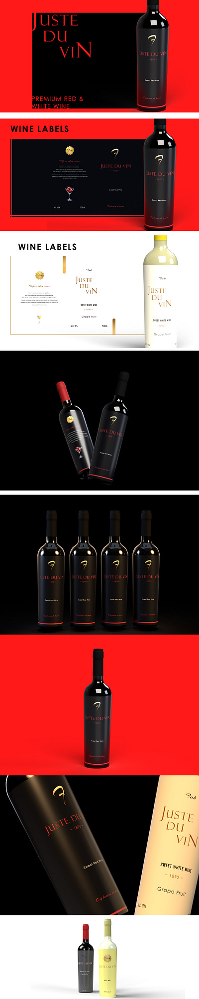 Wine Branding and Packing 3d branding graphic design illustration packing wine wine branding winepacking