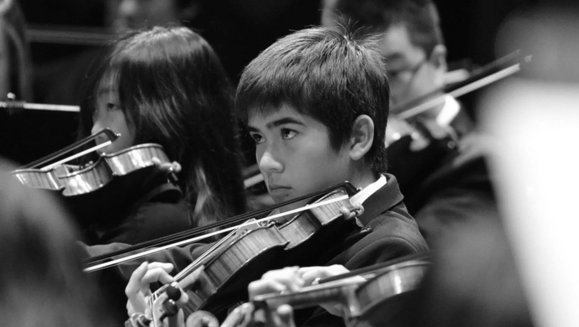 San José Youth Symphony // Bay Area Nonprofit Brand Refresh