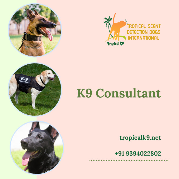 Best K9 Consultant By Tropical K9 On Dribbble