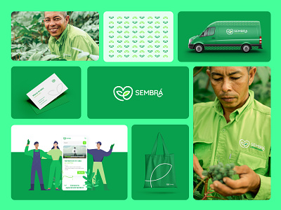 Brand Identity for Sembrar, a non-profit foundation. brand brand identity branding design fuoundation graphic design green illustration logo ong plant sembra