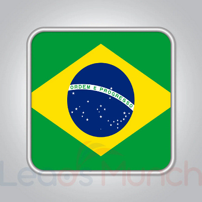 Brazil Consumer Email List, Sales Leads Database b2c brazil email marketing leads