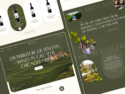 Wine Shop branding design ecommerce illustration ui uiux webdesign wine