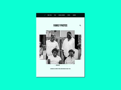 Image Slider 072 dailyui family gallery image photo photos slide slider slideshow tree ui uidesign