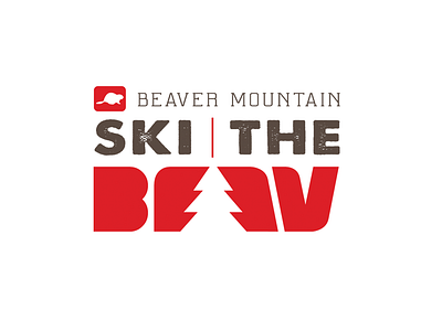 Ski Logo branding graphic design identity design illustration logo logo design ski logo type typography