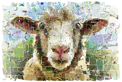 The Sheep animallove arts collage design finearts ill illustration mosaic photomosaic visualdesign