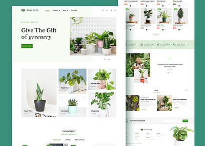Greenery - Plant Landing Page design landing page typography ui ui ux ux web web design