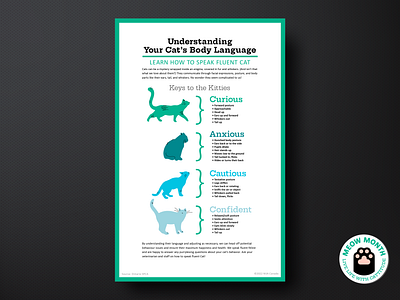 Understanding you cat's body language - poster infographic campaign design graphic design illustration infographic typography vector