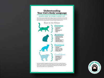 Understanding you cat's body language - poster infographic by Madeline ...