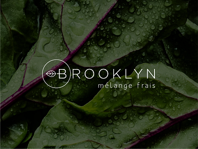 Brooklyn | Branding - Packaging brand design branding food brand graphic design logo logo design natural packaging