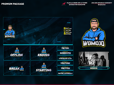professional twitch overlay! branding design graphic design illustration layout logo streaming twitch twitch overlay ui vector
