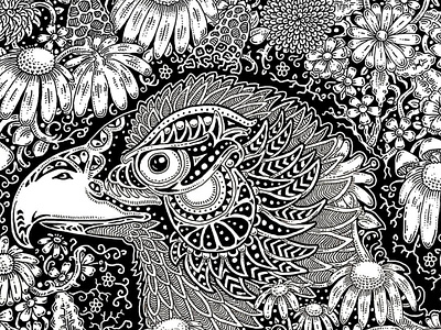 Intricate Hawk adult coloring book animal art artwork bird black and white botanical coloring page design doodle drawing eagle falcon floral flowers hawk ink pen and ink zendoodle zentangle