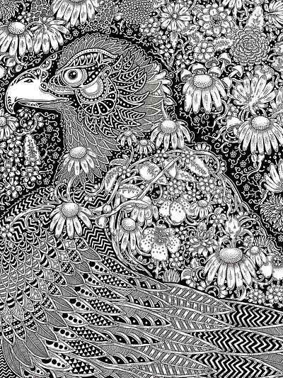 Intricate Hawk adult coloring book animal art artwork bird black and white botanical coloring page design doodle drawing eagle falcon floral flowers hawk ink pen and ink zendoodle zentangle