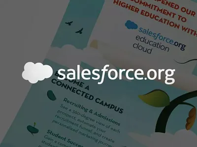 Salesforce.org // Infographic Design
