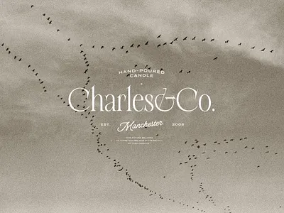 Philosykos - Fancy Classic Serif aesthetic branding classic creative market editorial elegant fancy fashion font graphic design ligature logo logo design minimal packaging serif type design typeface typography