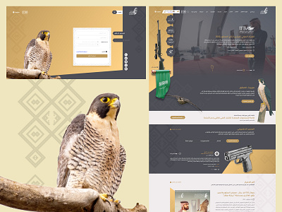 Saudi Falcons Club Concept club design falcon ksa portal saudi saudi arabia ui ux web web design website